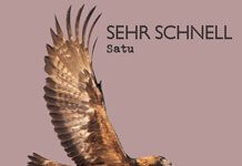 Satu
