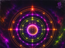 Empath fiilistelee freeparty-skenen ilmapiiriä ja psykedeelisen mentaaliteknon vapautta