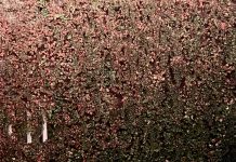 Breakables – RPM (Managua Records 2026)