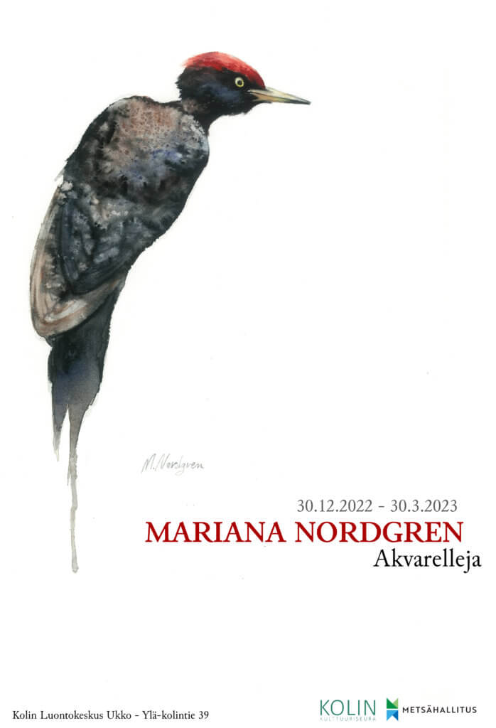 Mariana Nordgren